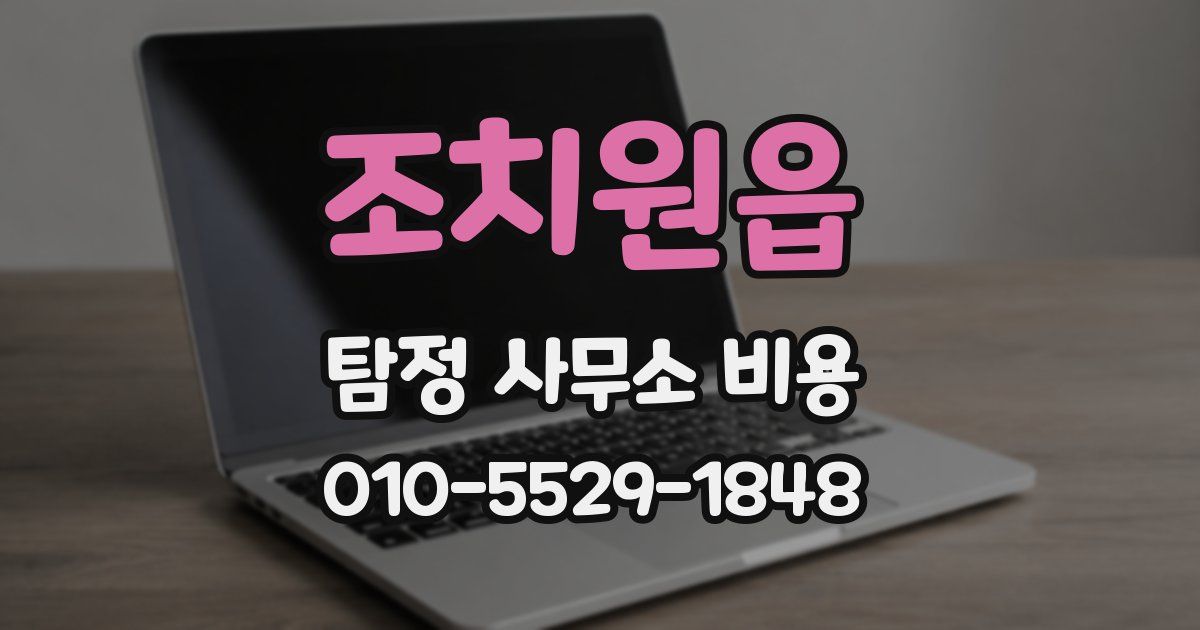 조치원읍 탐정 사무소 비용
