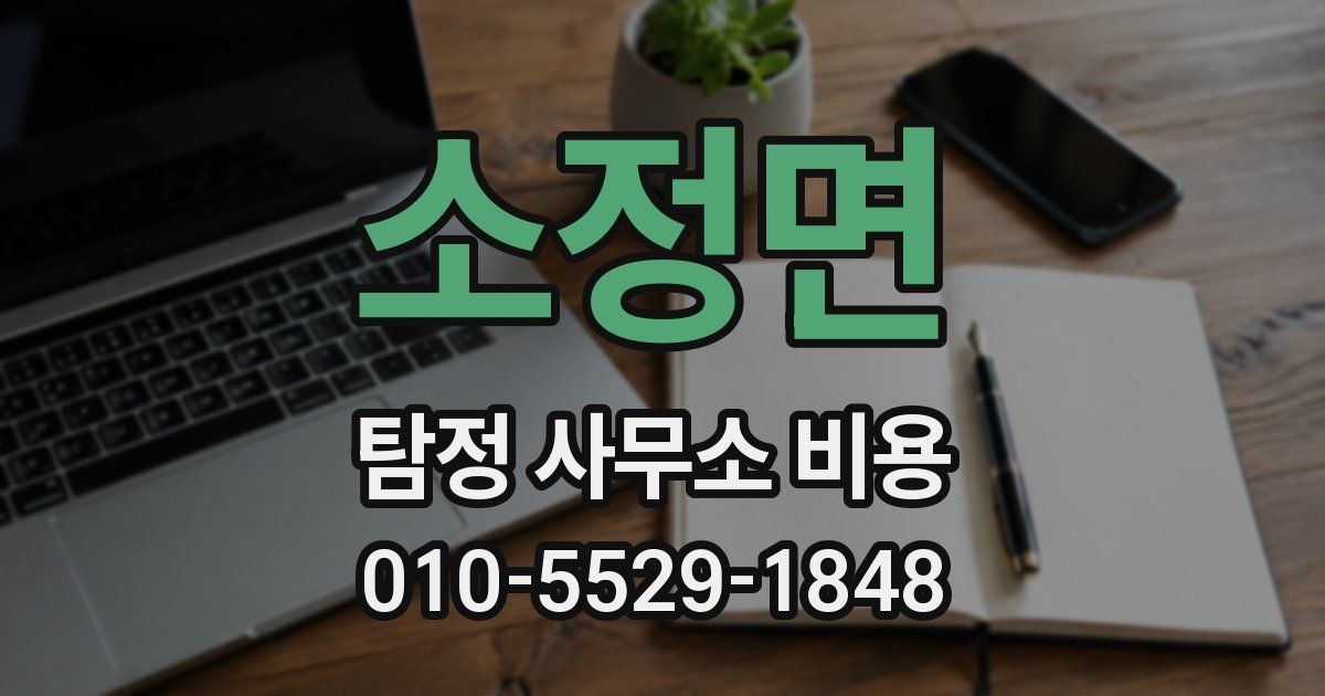 소정면 탐정 사무소 비용