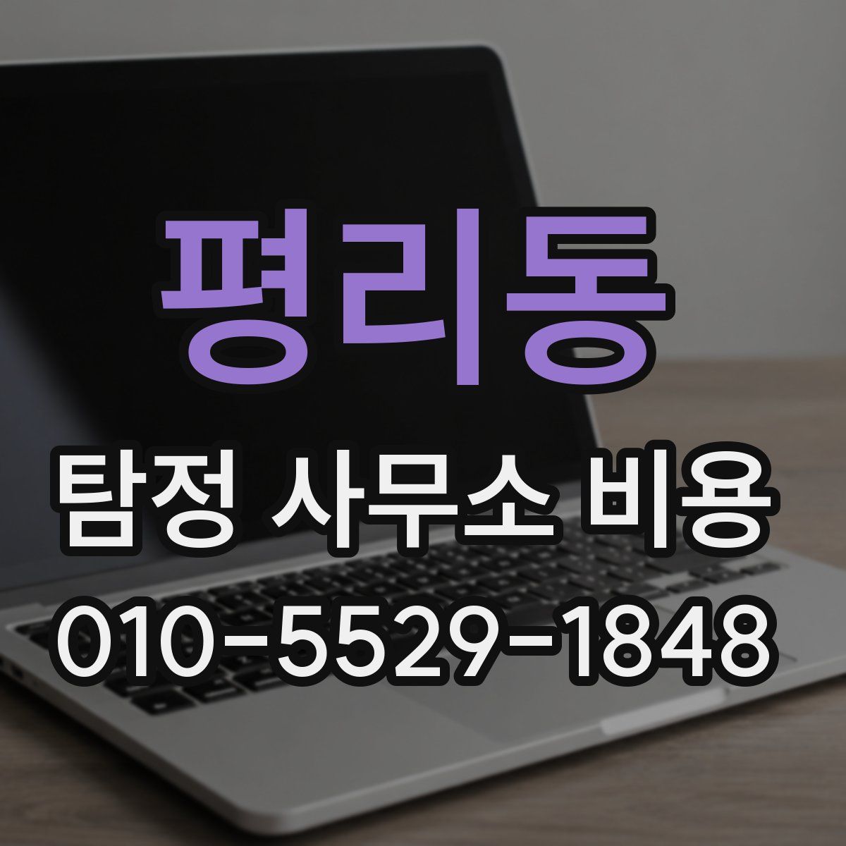 평리동 탐정 사무소 비용