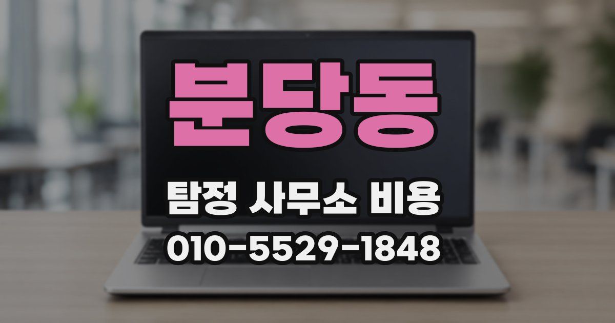 분당동 탐정 사무소 비용