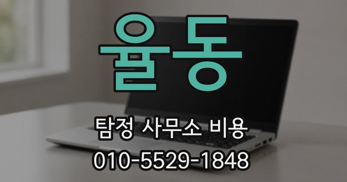 율동 탐정 사무소 비용
