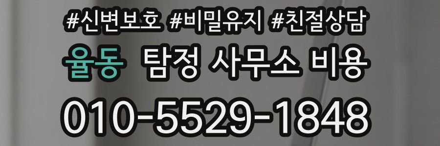 율동 탐정 사무소 비용