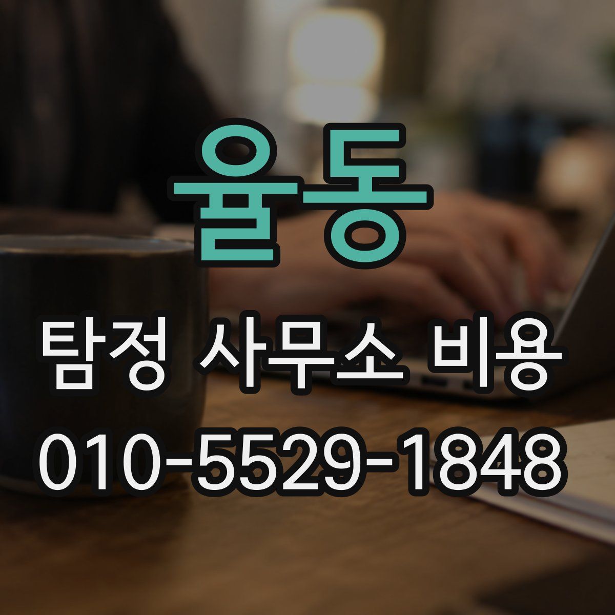 율동 탐정 사무소 비용