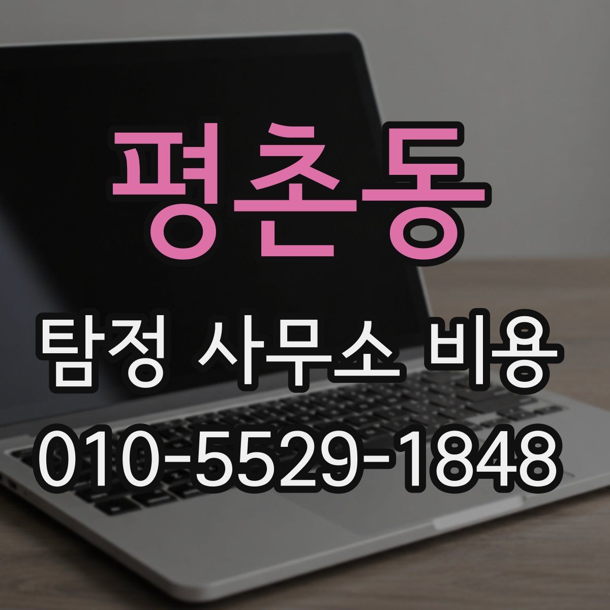 평촌동 탐정 사무소 비용