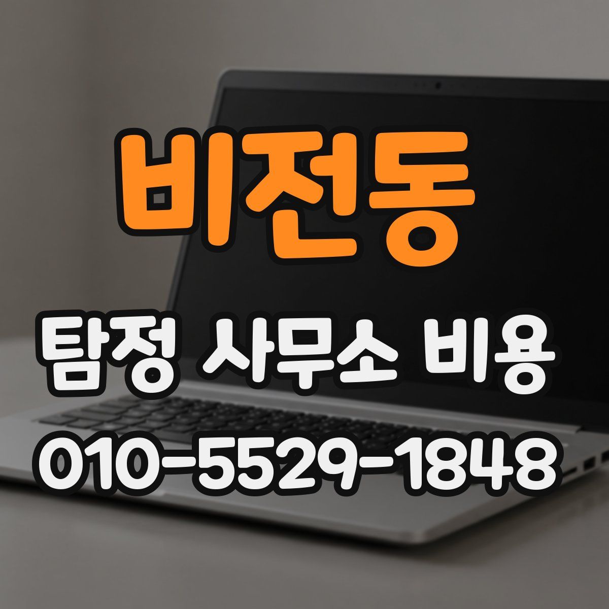 비전동 탐정 사무소 비용