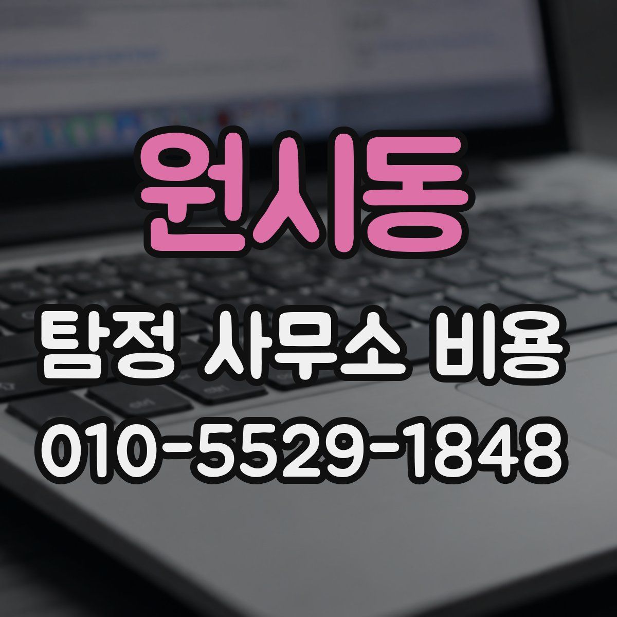원시동 탐정 사무소 비용