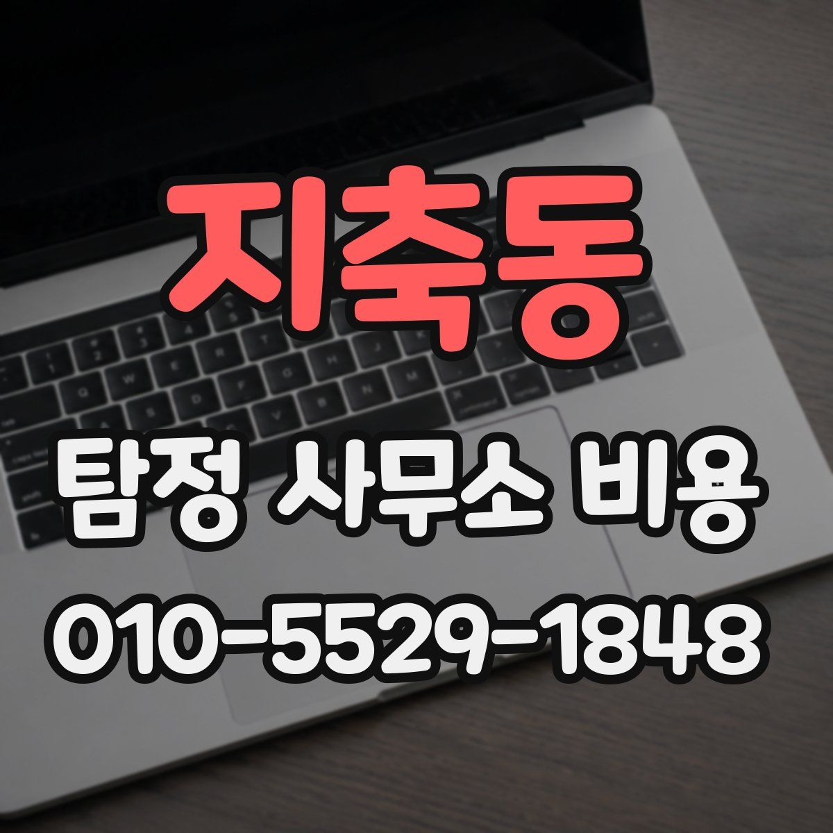 지축동 탐정 사무소 비용