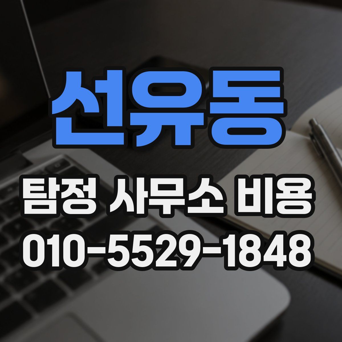 선유동 탐정 사무소 비용