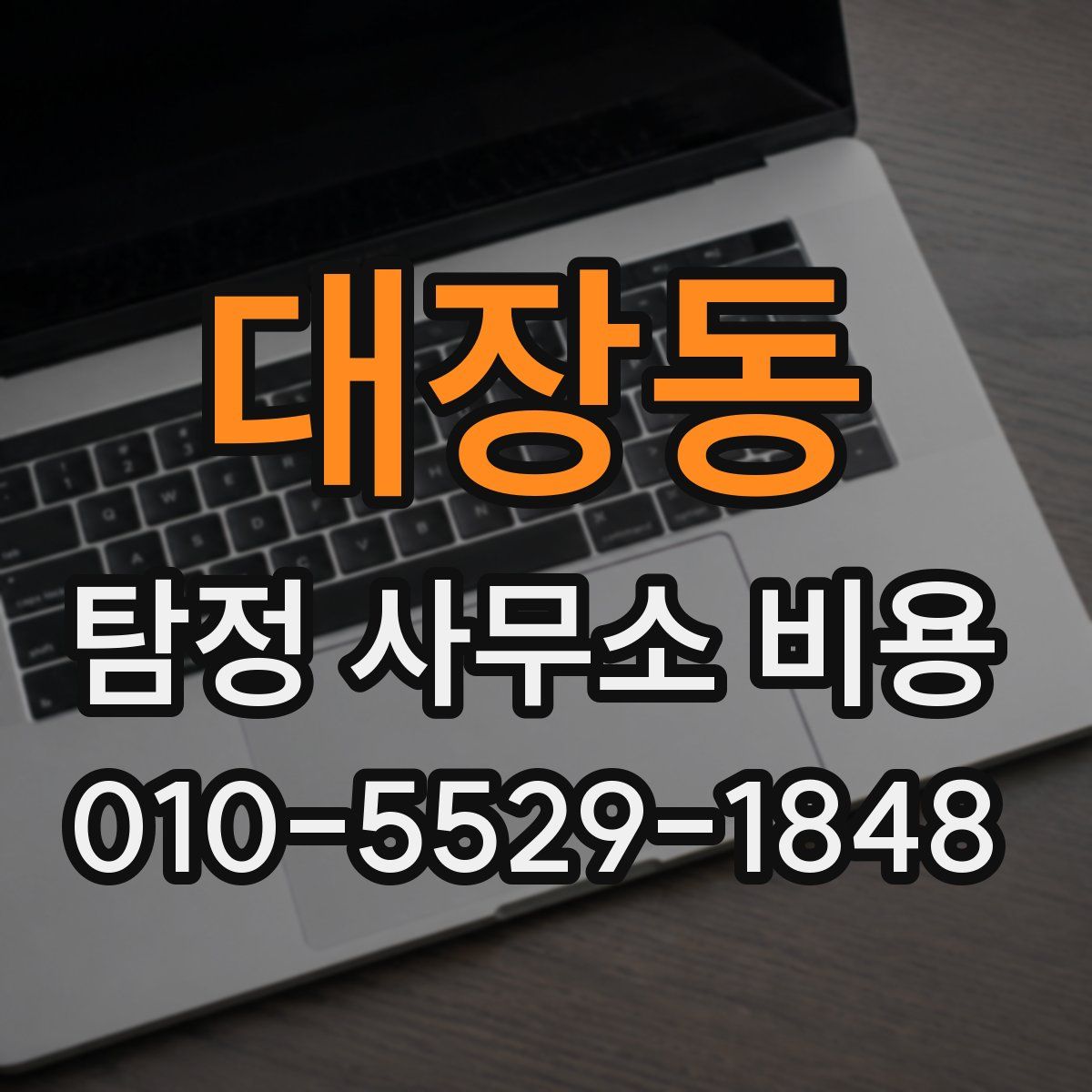 대장동 탐정 사무소 비용