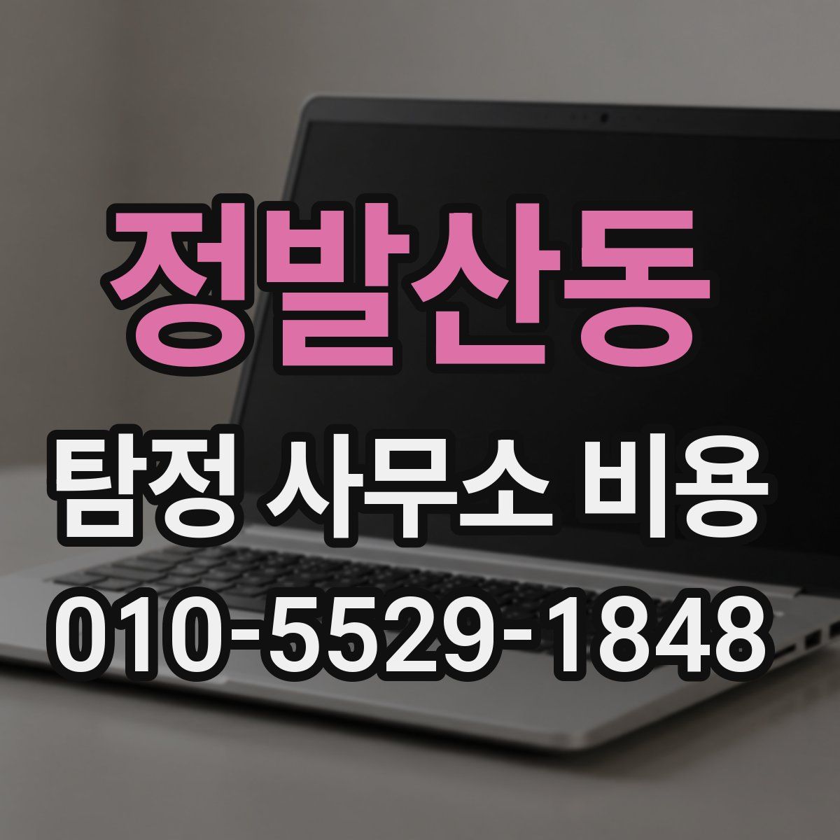 정발산동 탐정 사무소 비용
