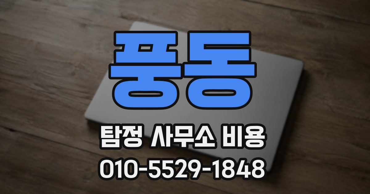 풍동 탐정 사무소 비용
