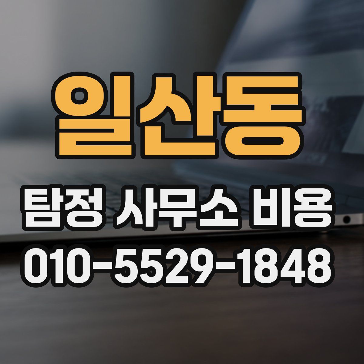 일산동 탐정 사무소 비용