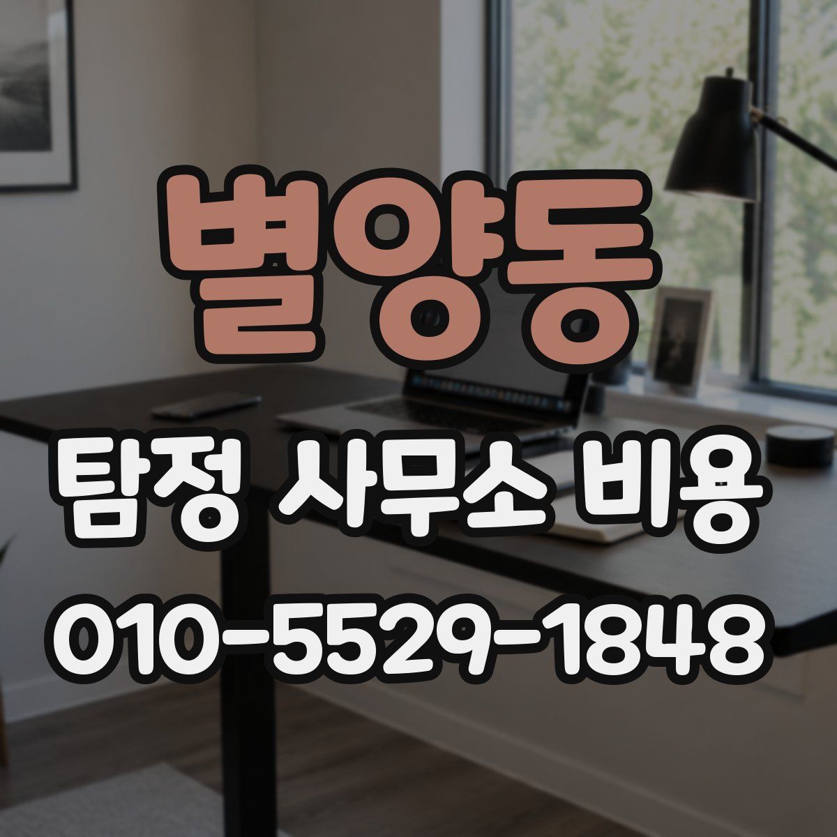 별양동 탐정 사무소 비용