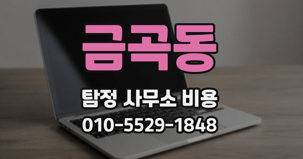 금곡동 탐정 사무소 비용