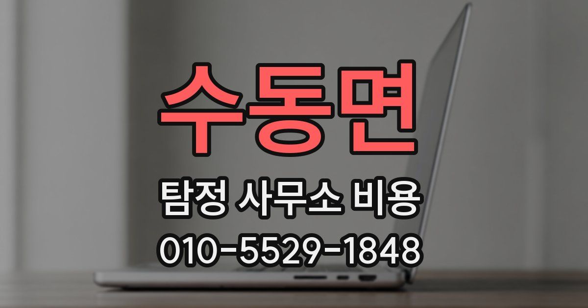 수동면 탐정 사무소 비용