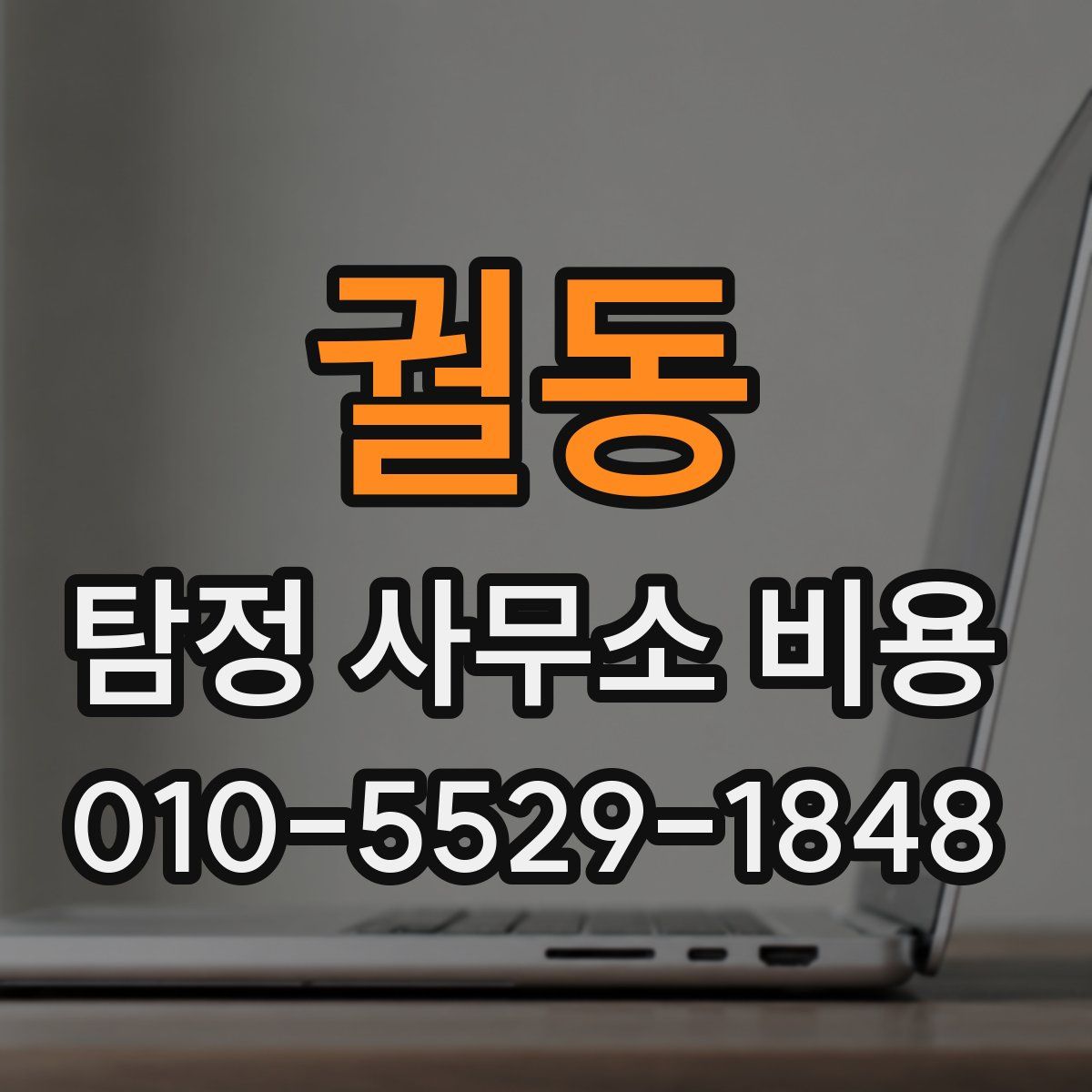 궐동 탐정 사무소 비용