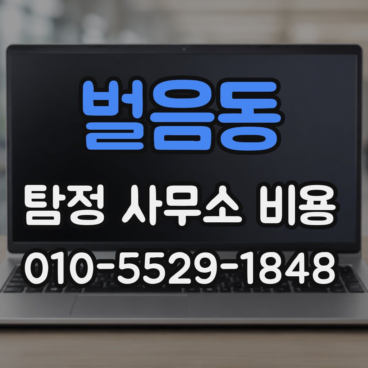 벌음동 탐정 사무소 비용