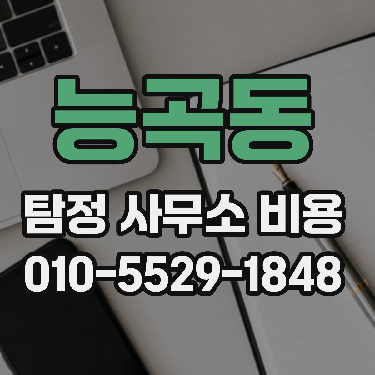 능곡동 탐정 사무소 비용