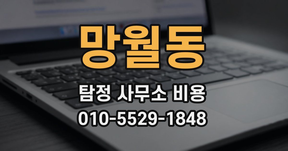 망월동 탐정 사무소 비용