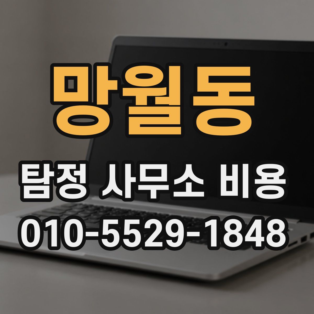 망월동 탐정 사무소 비용
