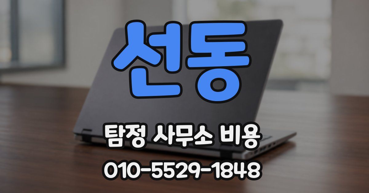 선동 탐정 사무소 비용