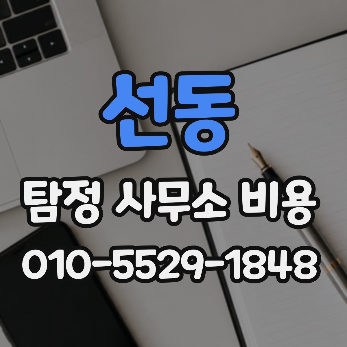 선동 탐정 사무소 비용