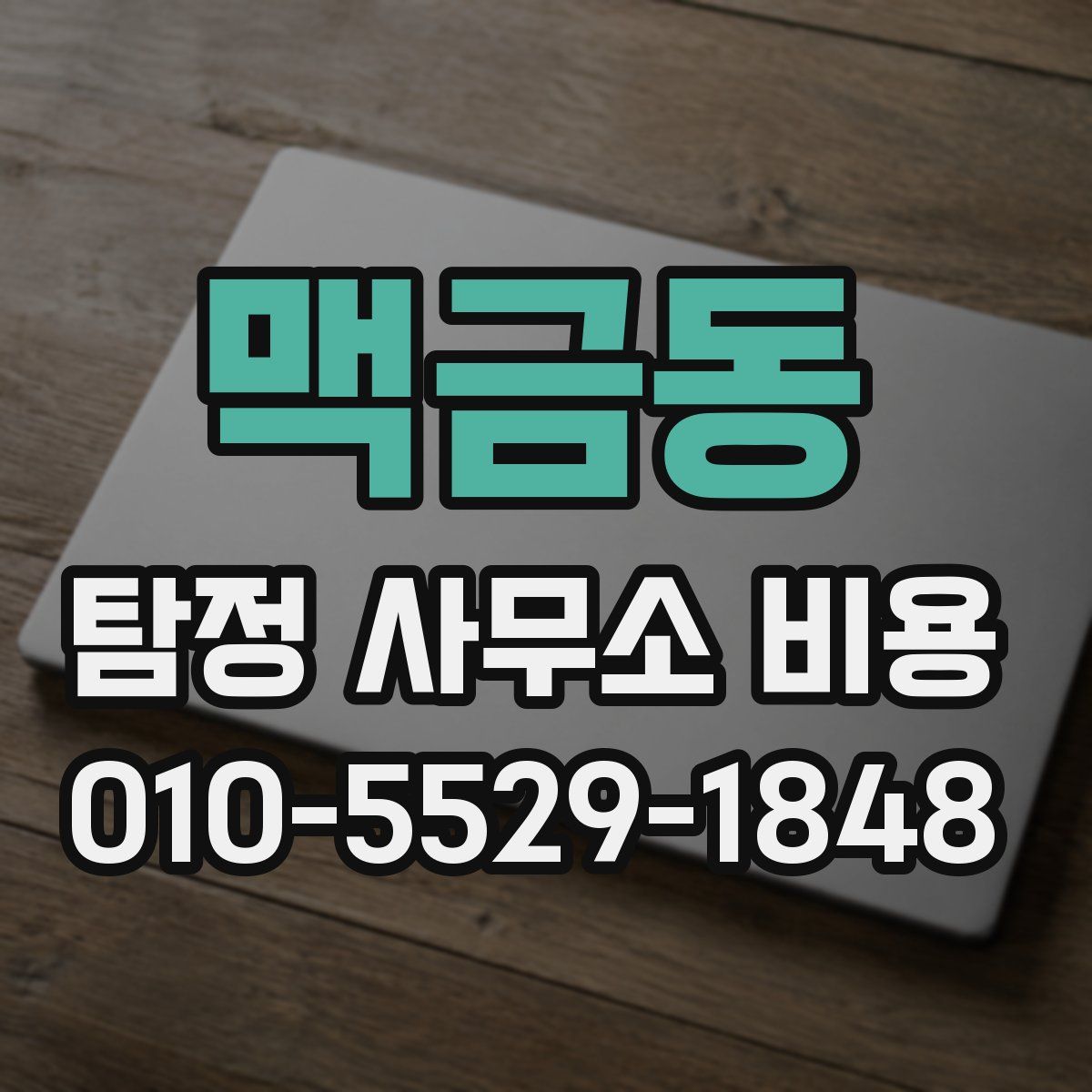 맥금동 탐정 사무소 비용