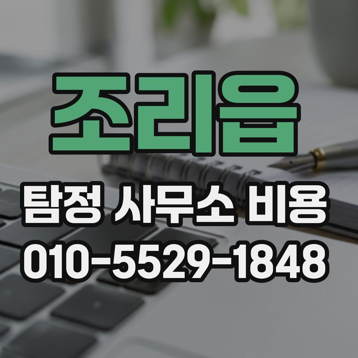 조리읍 탐정 사무소 비용