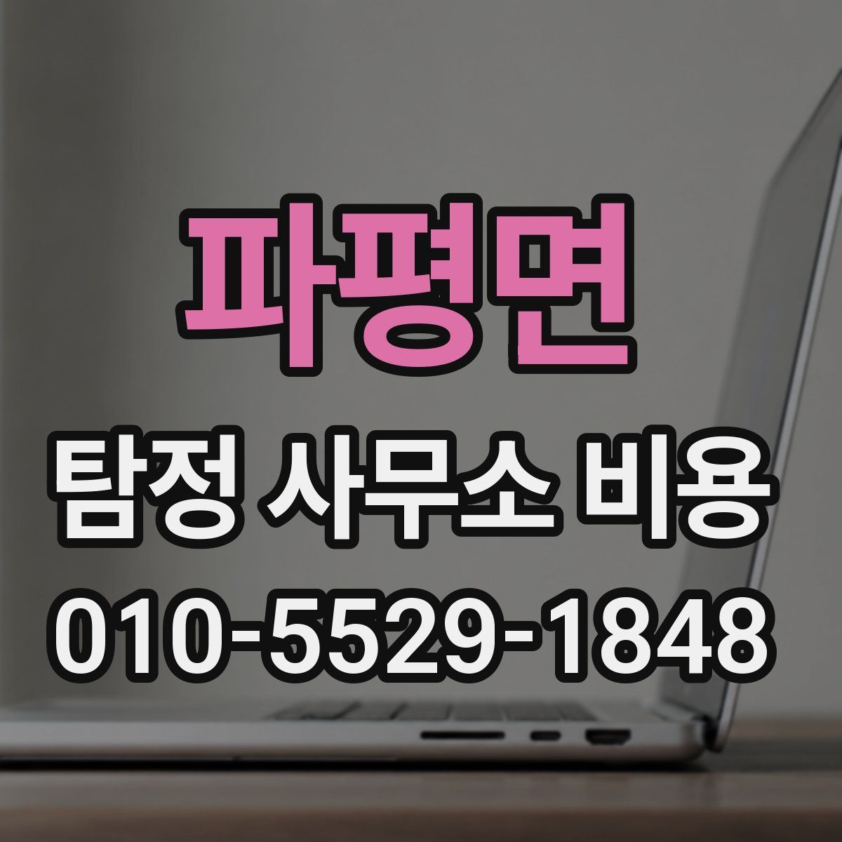 파평면 탐정 사무소 비용