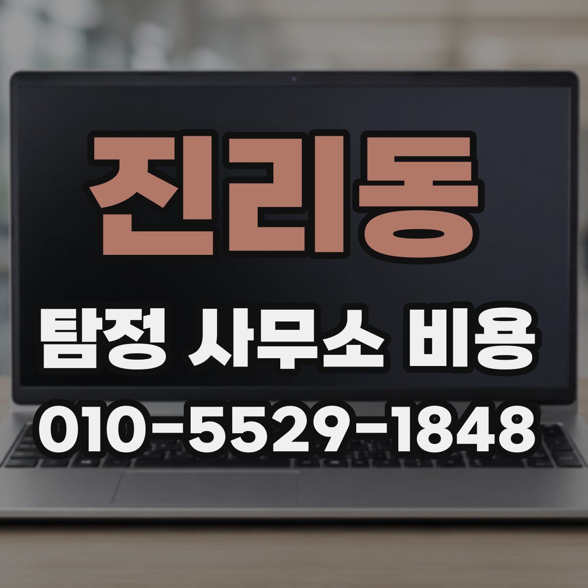 진리동 탐정 사무소 비용