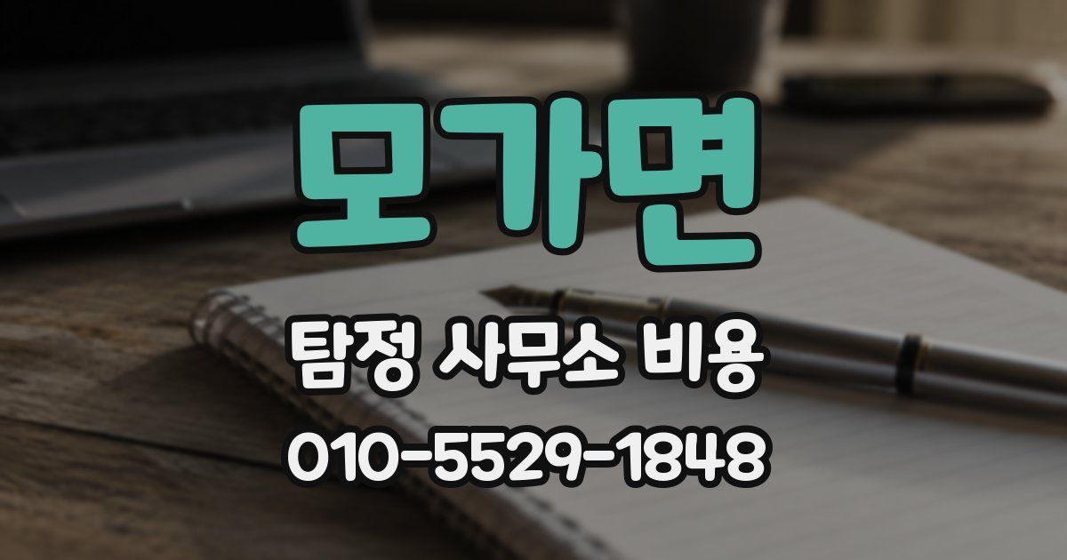 모가면 탐정 사무소 비용