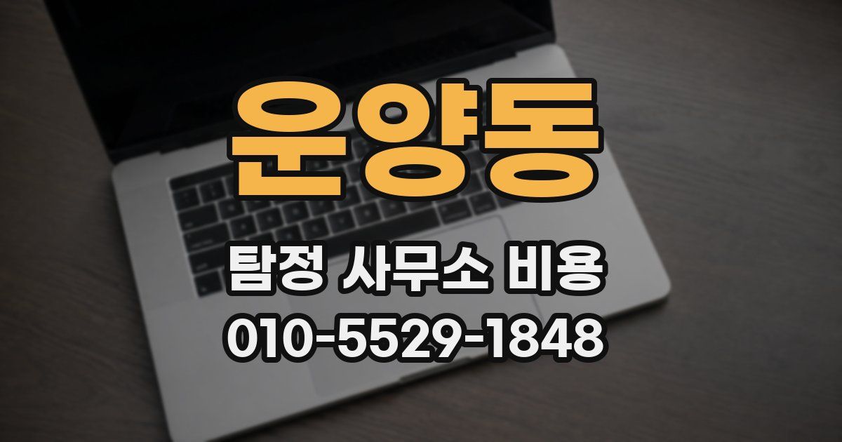 운양동 탐정 사무소 비용