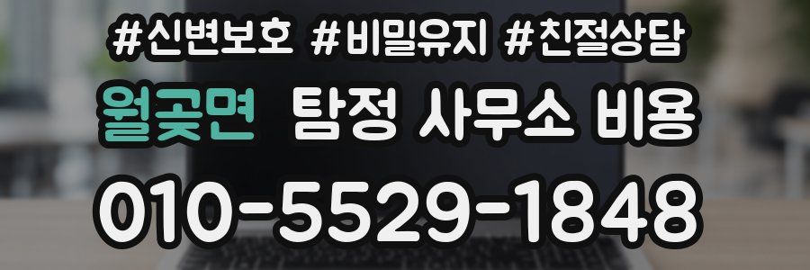 월곶면 탐정 사무소 비용