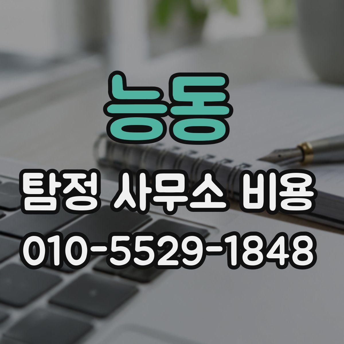 능동 탐정 사무소 비용