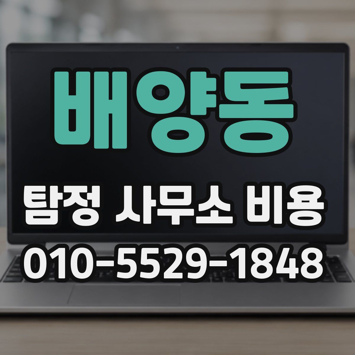 배양동 탐정 사무소 비용