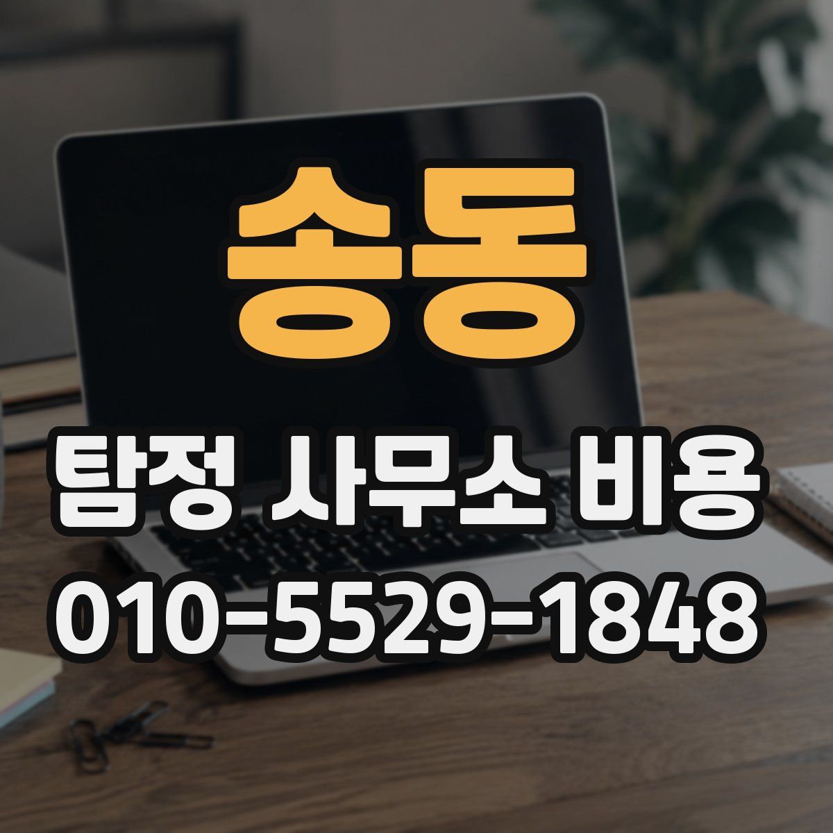 송동 탐정 사무소 비용