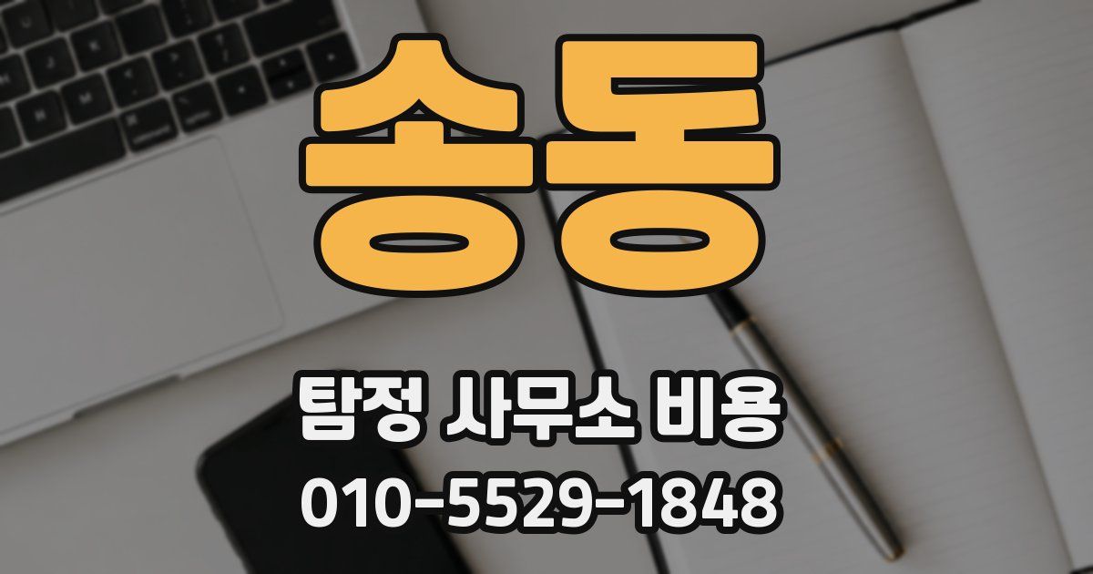 송동 탐정 사무소 비용