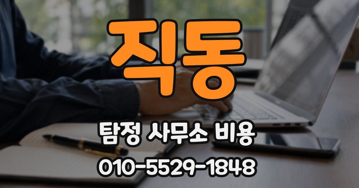 직동 탐정 사무소 비용