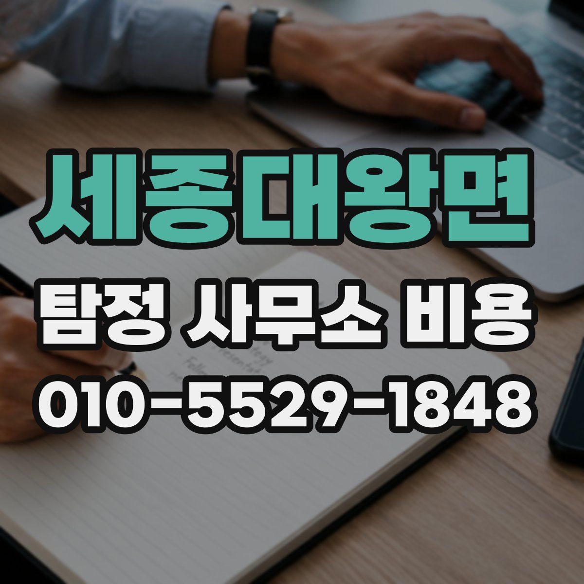 세종대왕면 탐정 사무소 비용