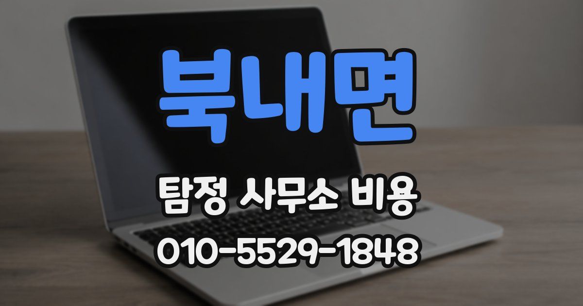 북내면 탐정 사무소 비용