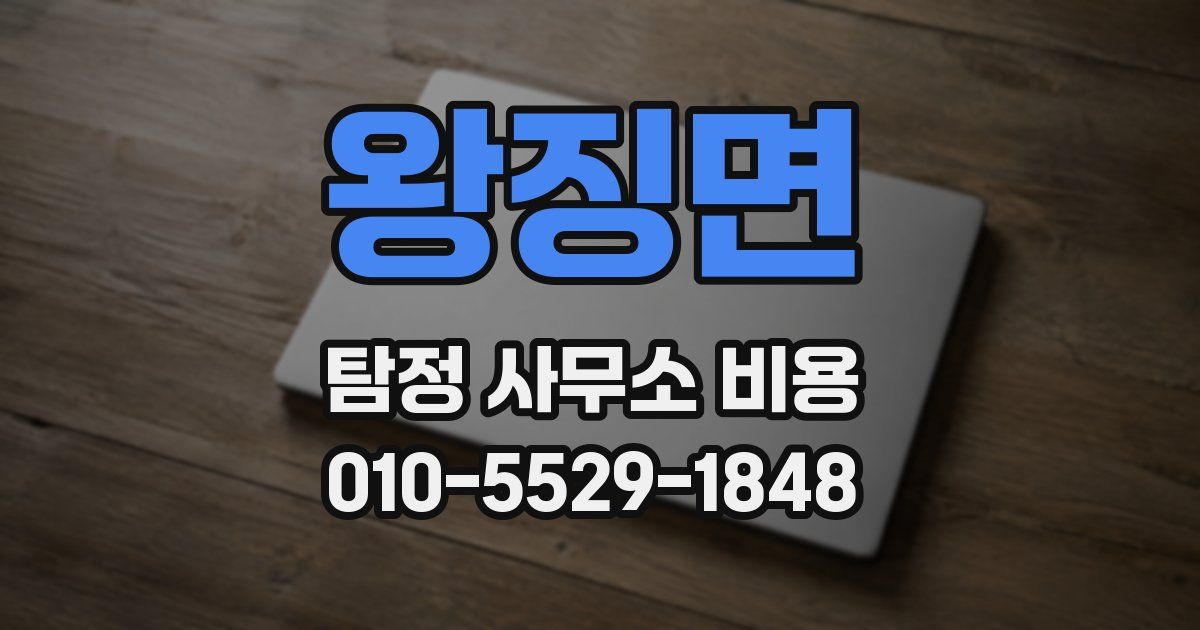 왕징면 탐정 사무소 비용