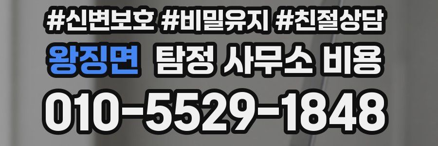 왕징면 탐정 사무소 비용