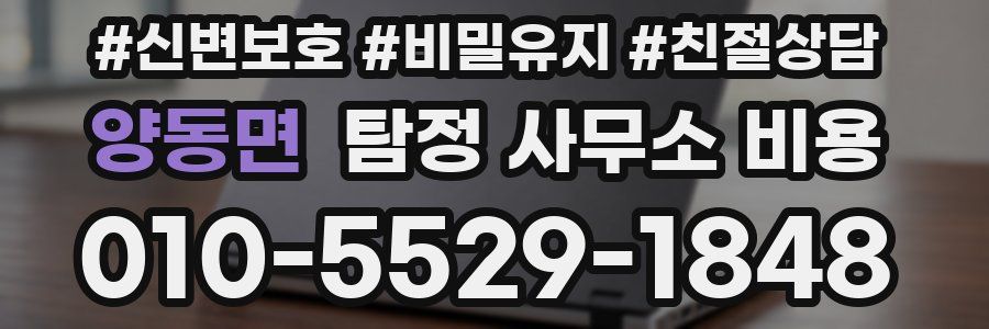 양동면 탐정 사무소 비용