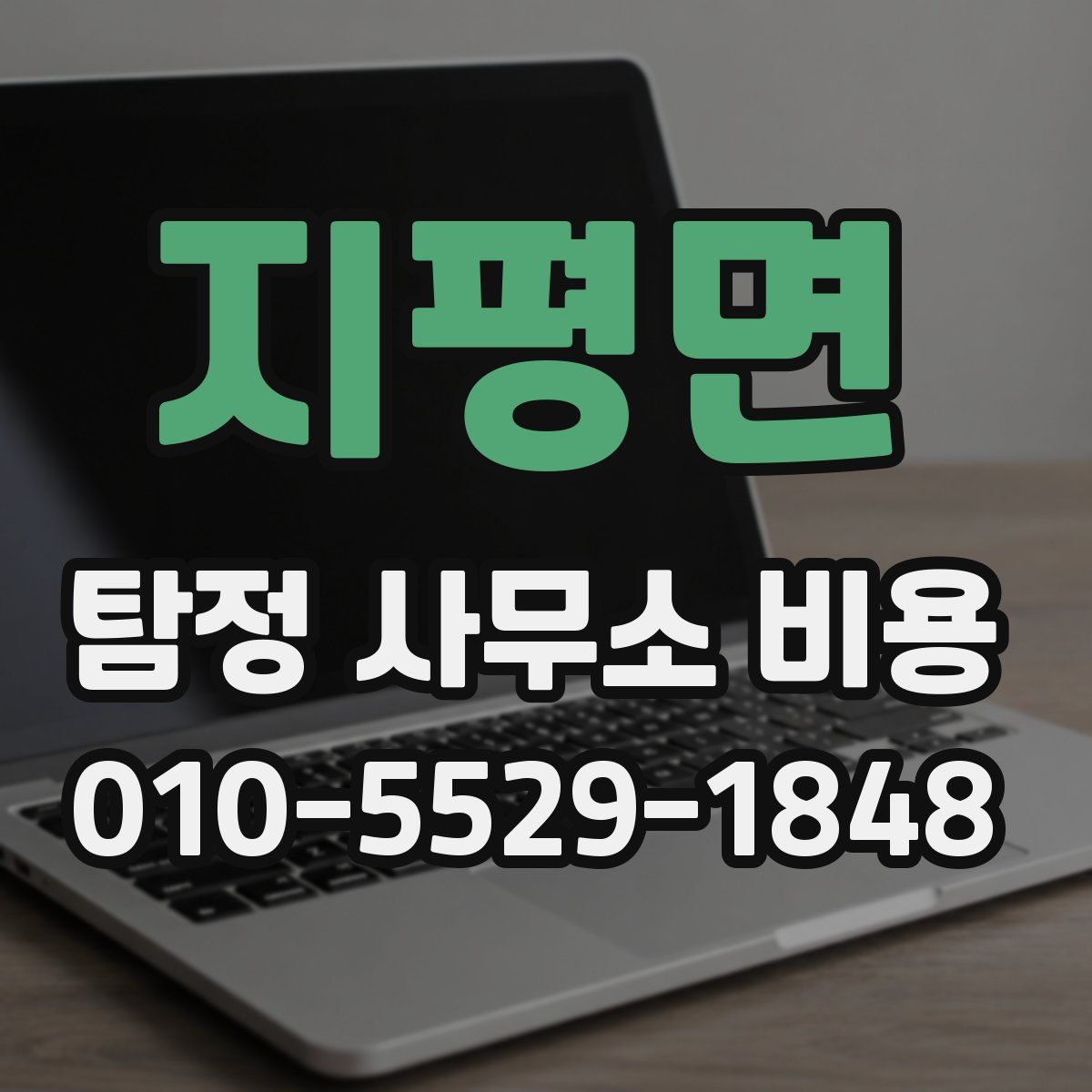 지평면 탐정 사무소 비용