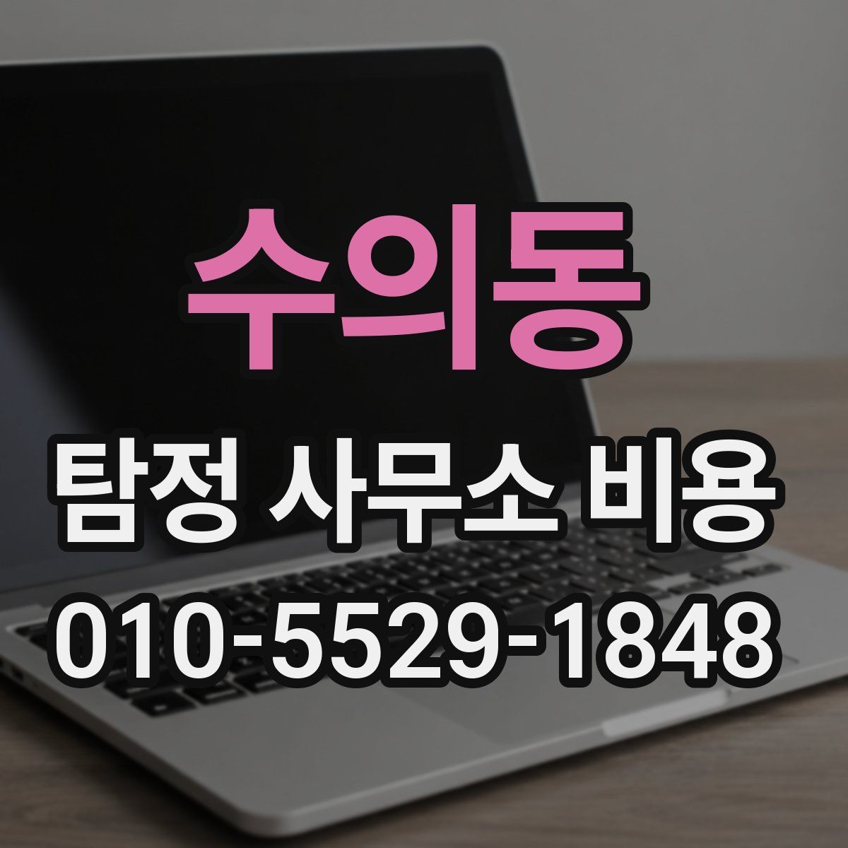 수의동 탐정 사무소 비용