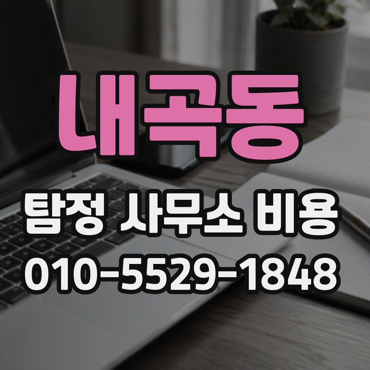 내곡동 탐정 사무소 비용