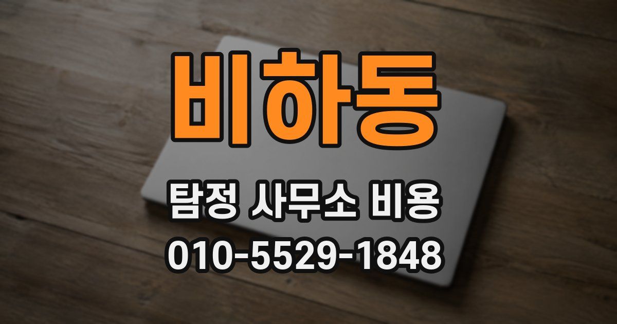 비하동 탐정 사무소 비용