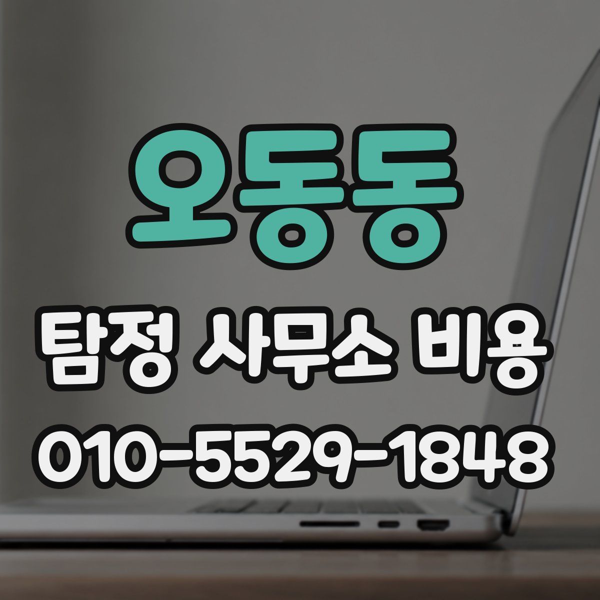 오동동 탐정 사무소 비용