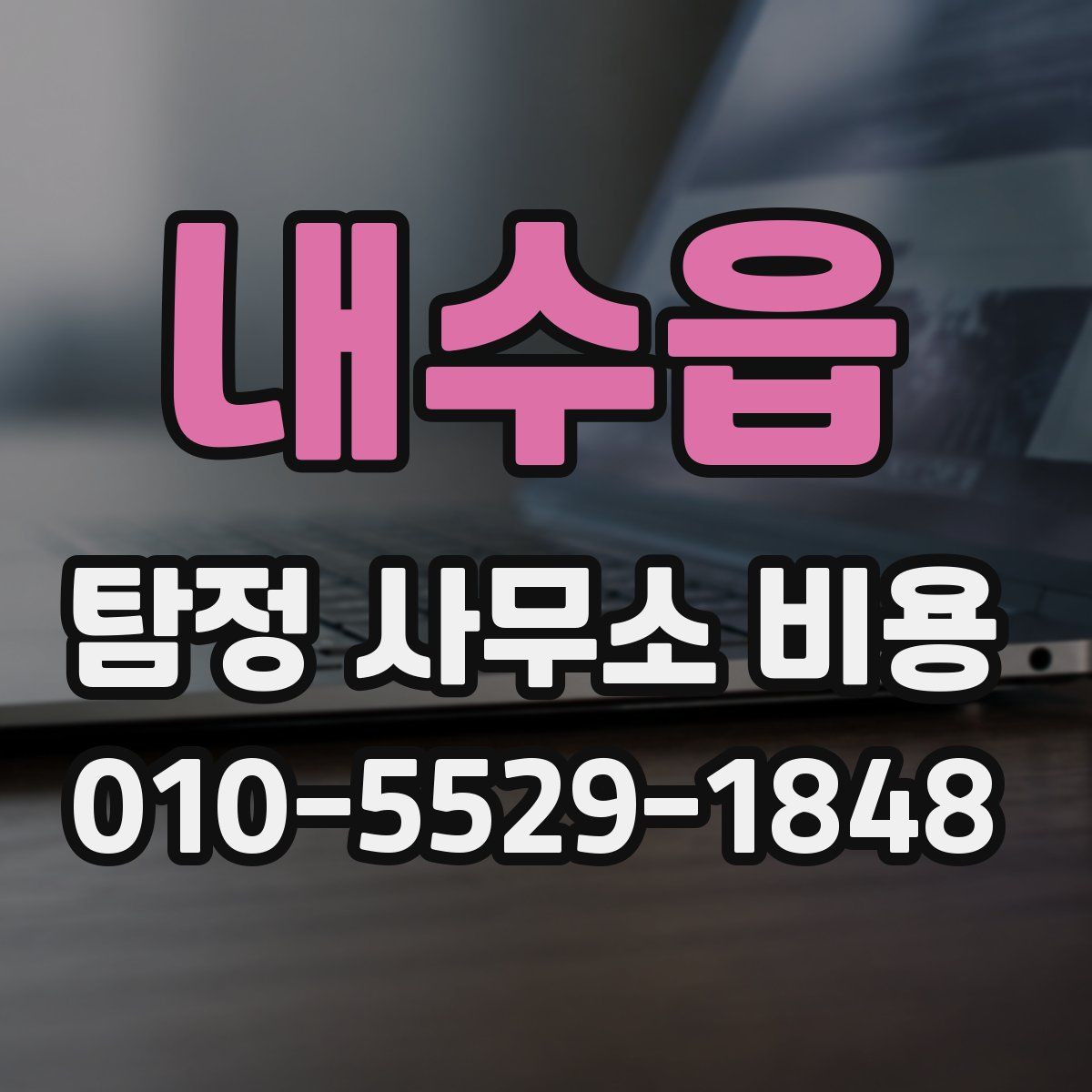 내수읍 탐정 사무소 비용