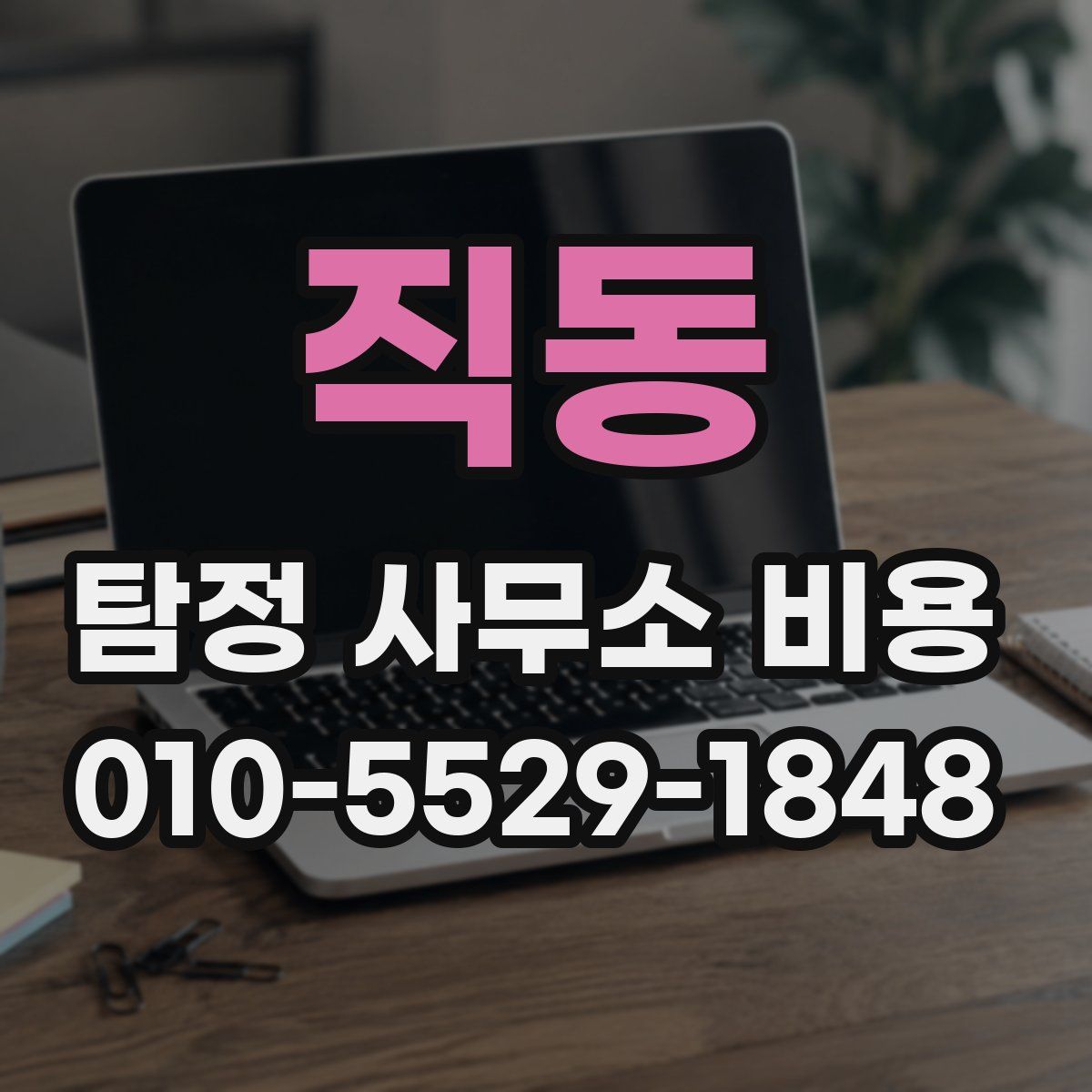 직동 탐정 사무소 비용
